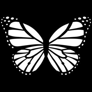 Meet your Posher, Liz